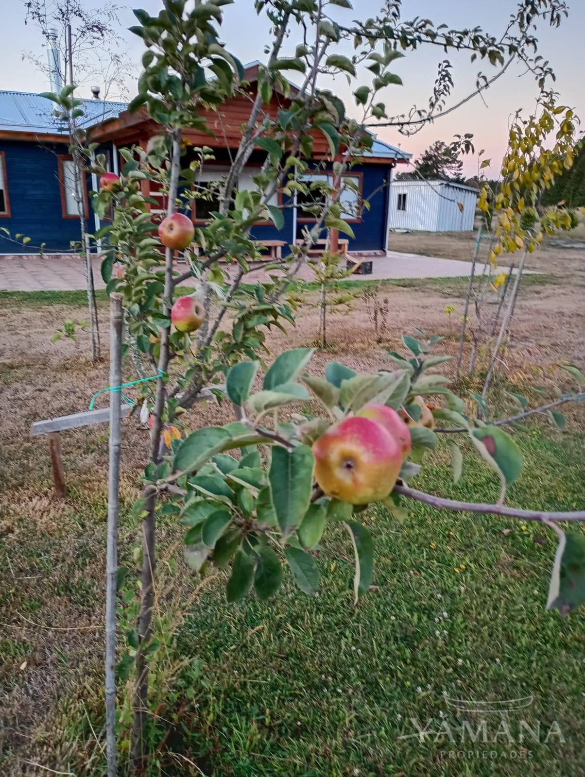 Venta de Parcela en Faja Maisan - Comuna de Pitrufquén