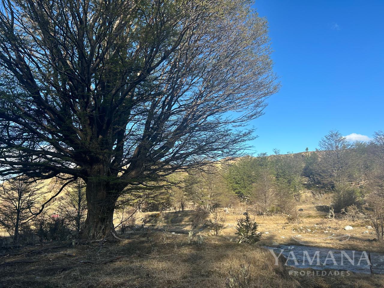 🌲 Tu Refugio Natural o Próximo Negocio en el Km 38 Sur 🌲