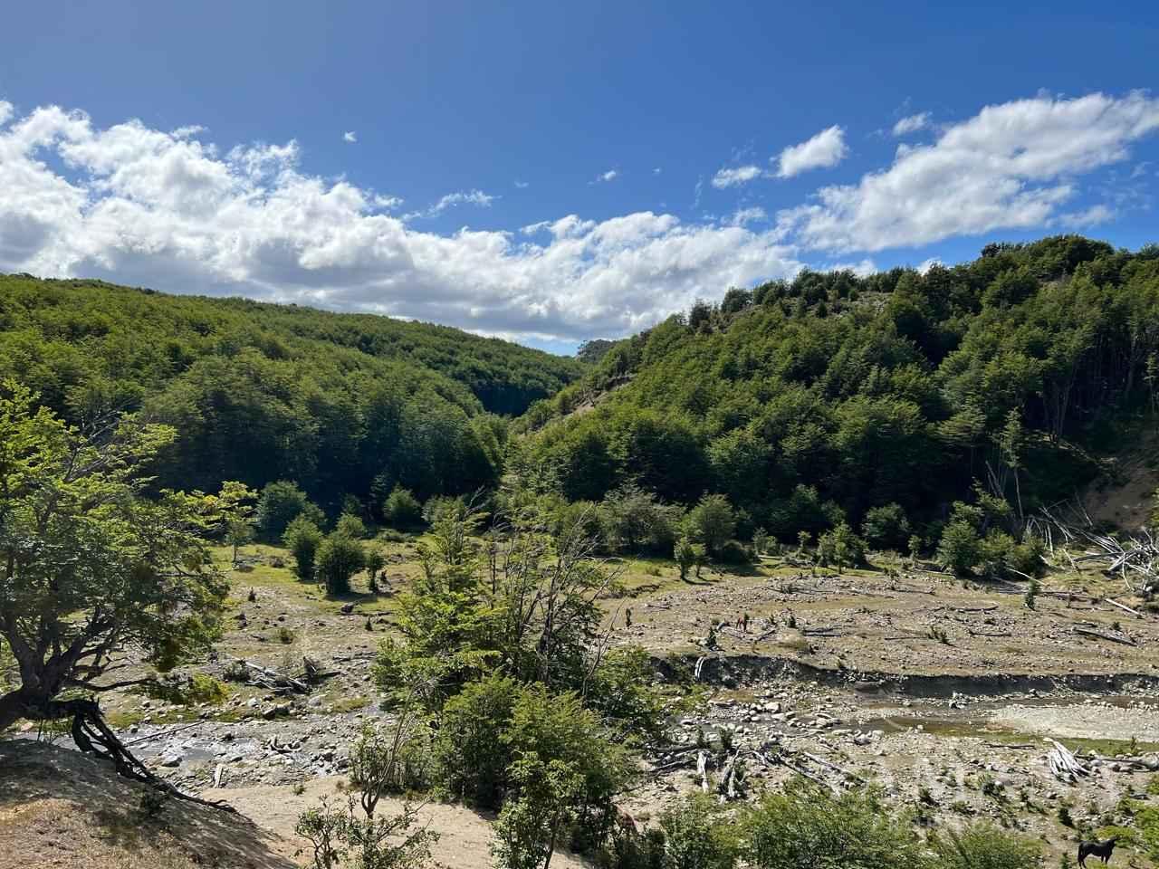 Venta de Parcela en Punta Arenas